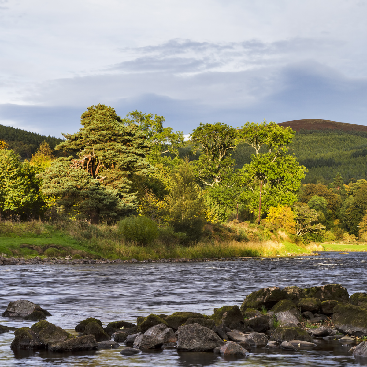 Craigellachie