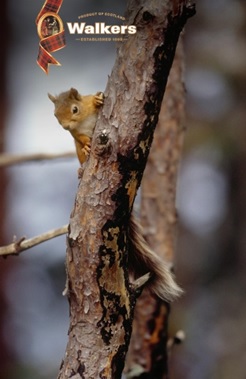 RSPB and Walkers Shortbread